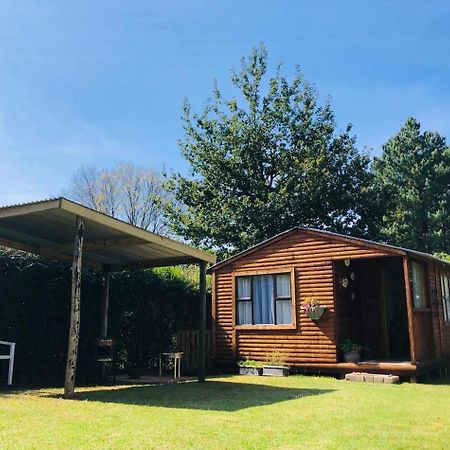 Rustic Cabin Sleepover 언더버그 외부 사진